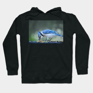 Bluejay Hoodie